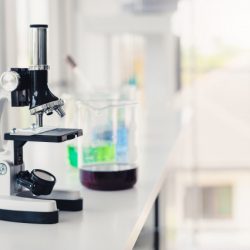 عدد المختبرات : 4