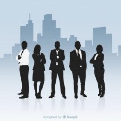 عدد الموظفين : 26